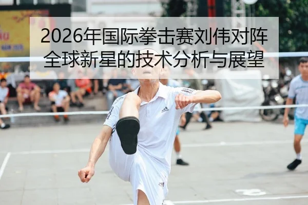 2026年国际拳击赛刘伟对阵全球新星的技术分析与展望