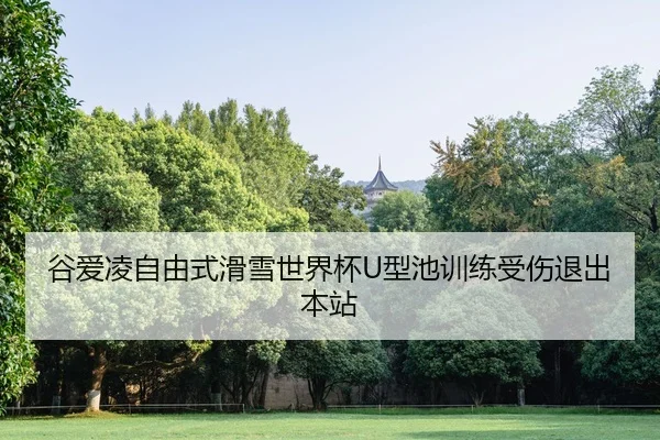 谷爱凌自由式滑雪世界杯U型池训练受伤退出本站