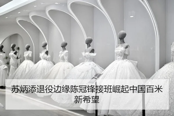 su-bing-tian-tui-yi-bian-yuan-chen-guan-feng-jie-ban-jue-qi-zhong-guo-bai-mi-xin-xi-wang-2-198.jpg