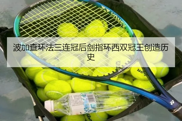 bo-jia-cha-huan-fa-san-lian-guan-hou-jian-zhi-huan-xi-shuang-guan-wang-chuang-zao-li-shi-2-917.jpg